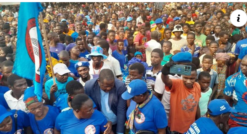 Democratic Progressive Party Storms South With Blue Sea